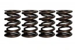 1.6T Ferrera Dual Valve Springs G4FJ