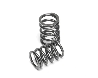1.6T Supertech Valve Springs G4FJ