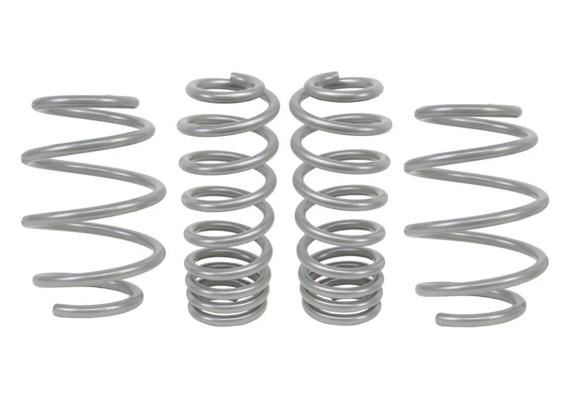 Performance Lowering Springs