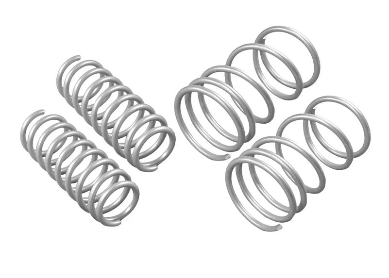 Performance Lowering Springs - Image 3